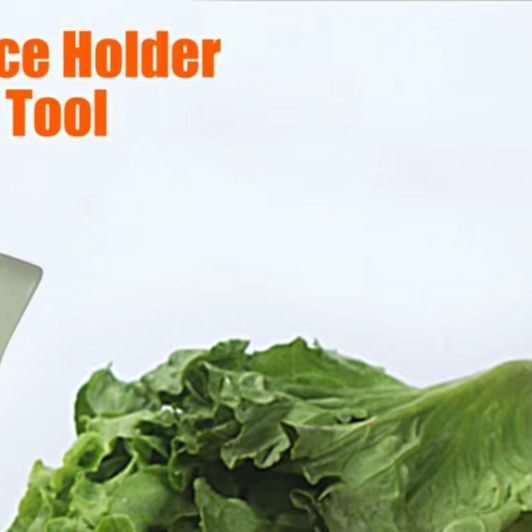 Vegetable Slicing Tool Onion S - Onion Holder Slicer 评论和价格