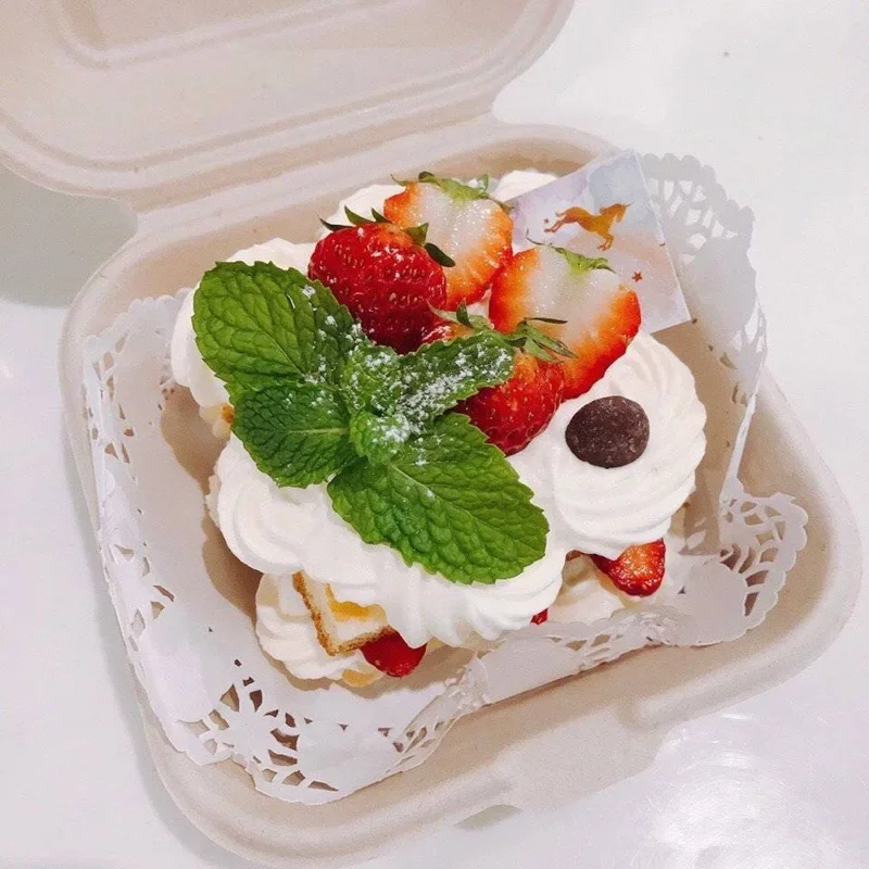20/50pcs Disposable Eco-Friend - Meal Prep For A Day 评论和价格