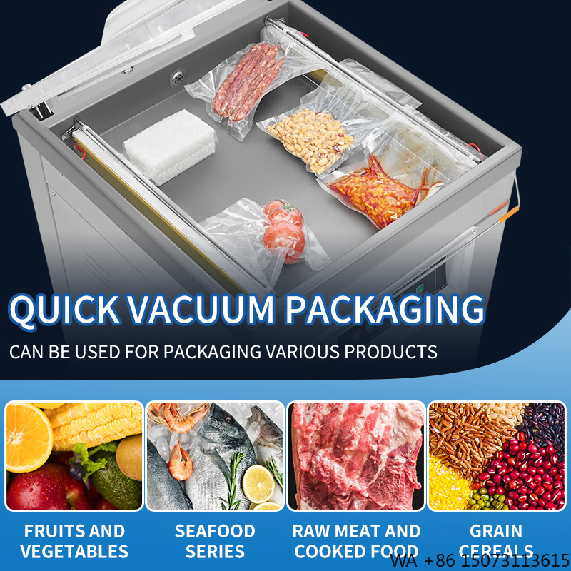 DZ-500  Vertical Single Chambe - Meal Prep Bag 评论和价格